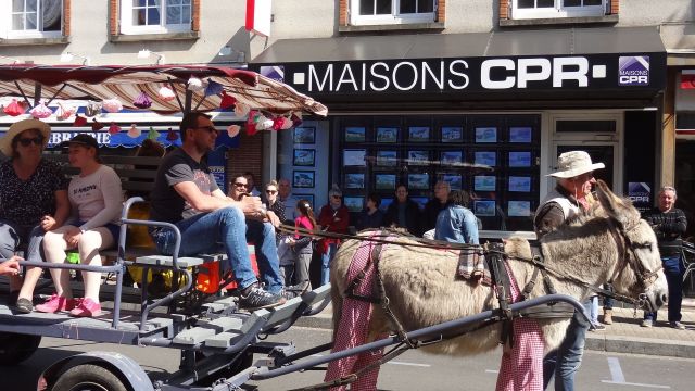 Carnaval 31 mars 2019 (15).JPG